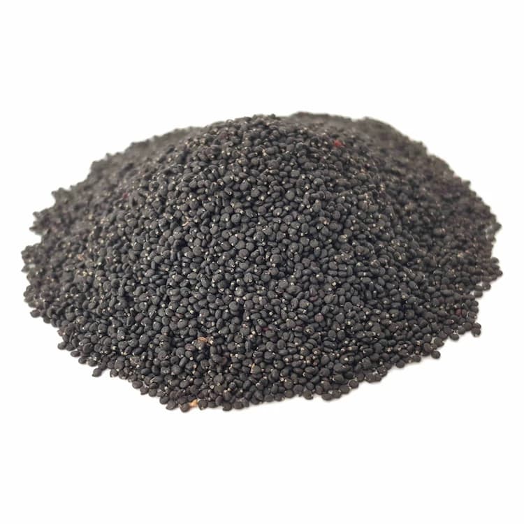 تخم خرفه سورتی