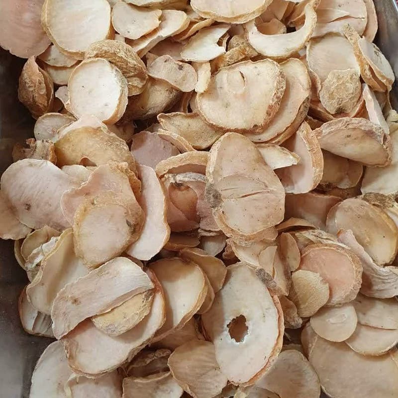 موسیر درشت پلاکی