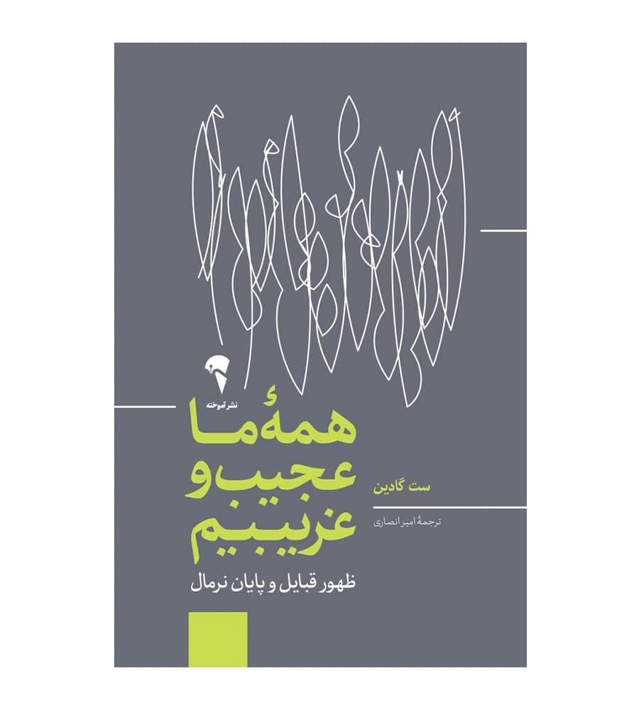 کتاب همه ی ما عجیب و غریبیم اثر ست گادین ترجمه امیر انصاری
