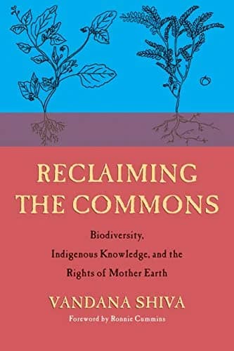 و دانلود نسخه کامل کتاب زبان اصلی Reclaiming the Commons: Biodiversity, Traditional Knowledge, and the Rights of Mother Earth Kindle Edition | دانلود کتاب خارجی