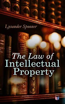 و دانلود نسخه کامل کتاب زبان اصلی The Law of Intellectual Property: The Rights of Authors and Inventors to a Perpetual Property in their Ideas | دانلود کتاب خارجی