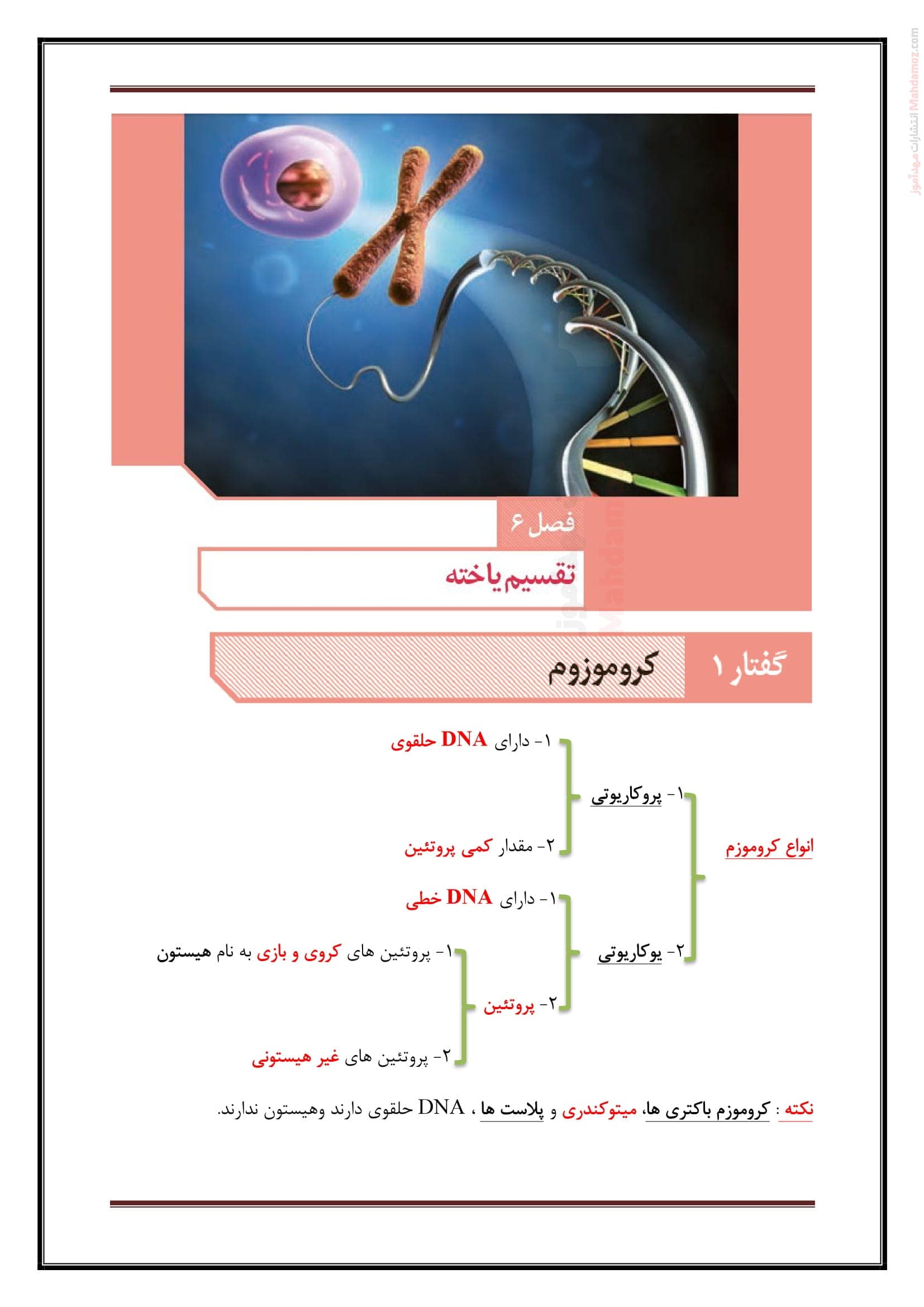 نکات مهم و نمونه سوال فصل 6 تقسیم یاخته زیست شناسی کلاس یازدهم