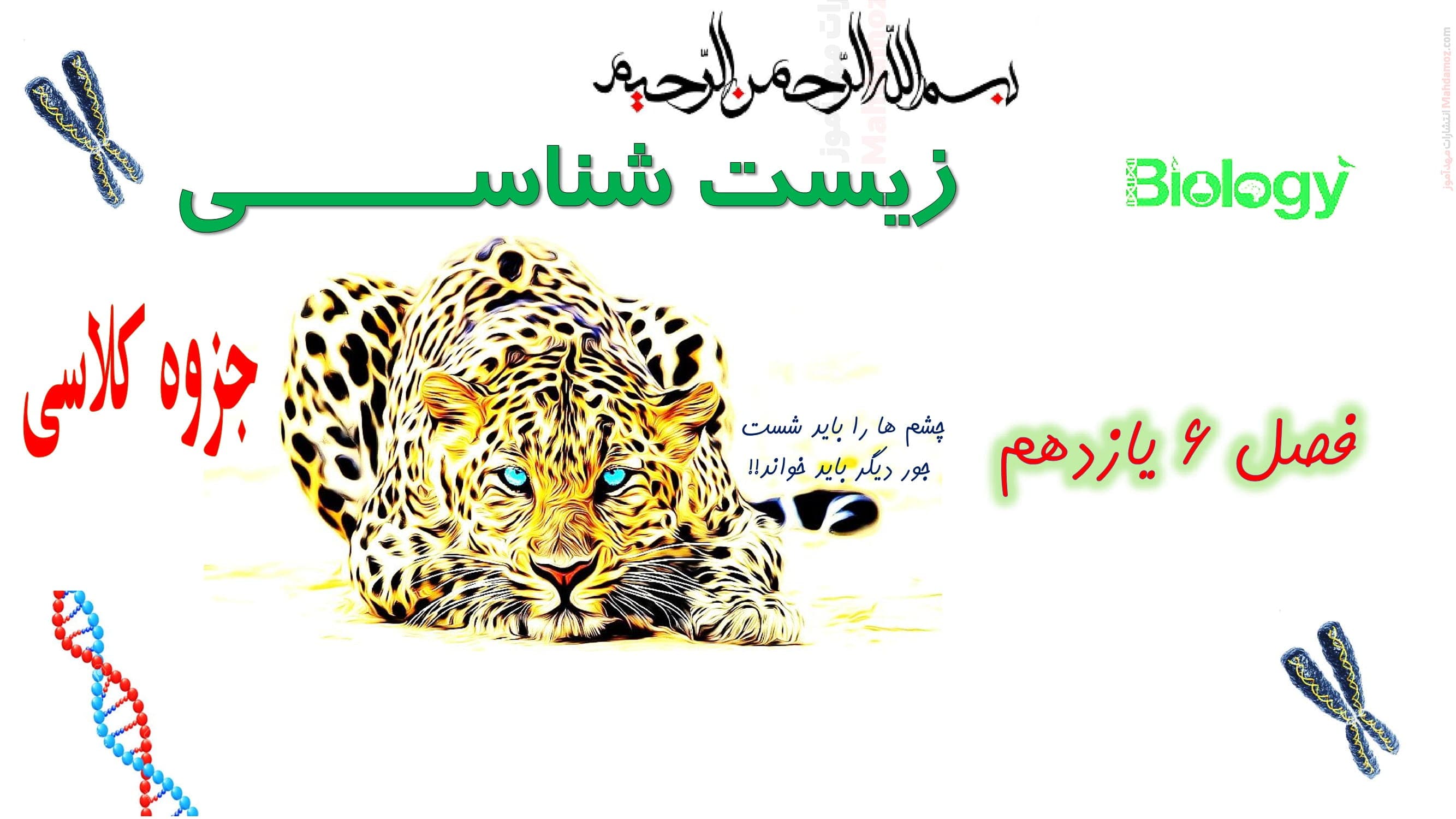 جزوه مفهومی فصل 6 زیست شناسی تجربی یازدهم دبیرستان