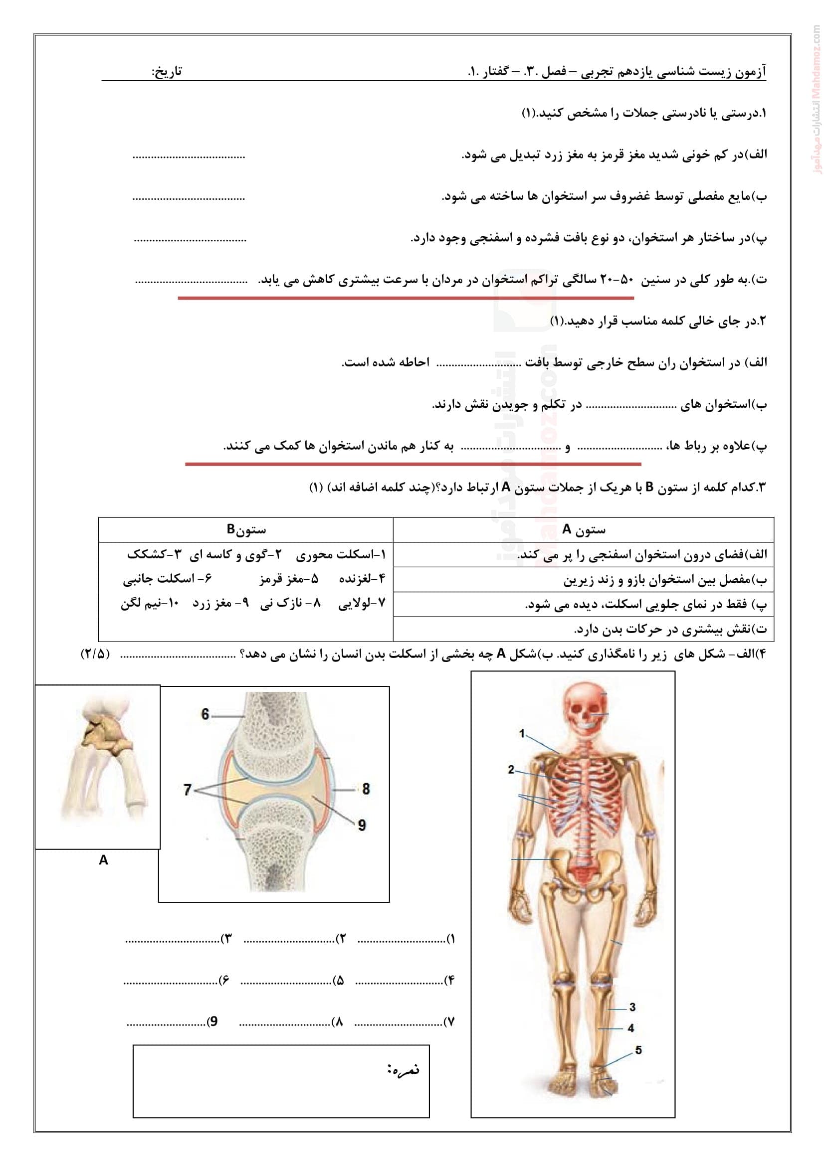 برگه ارزیابی دوره ای فصل سوم گفتار یک زیست شناسی یازدهم | با جواب