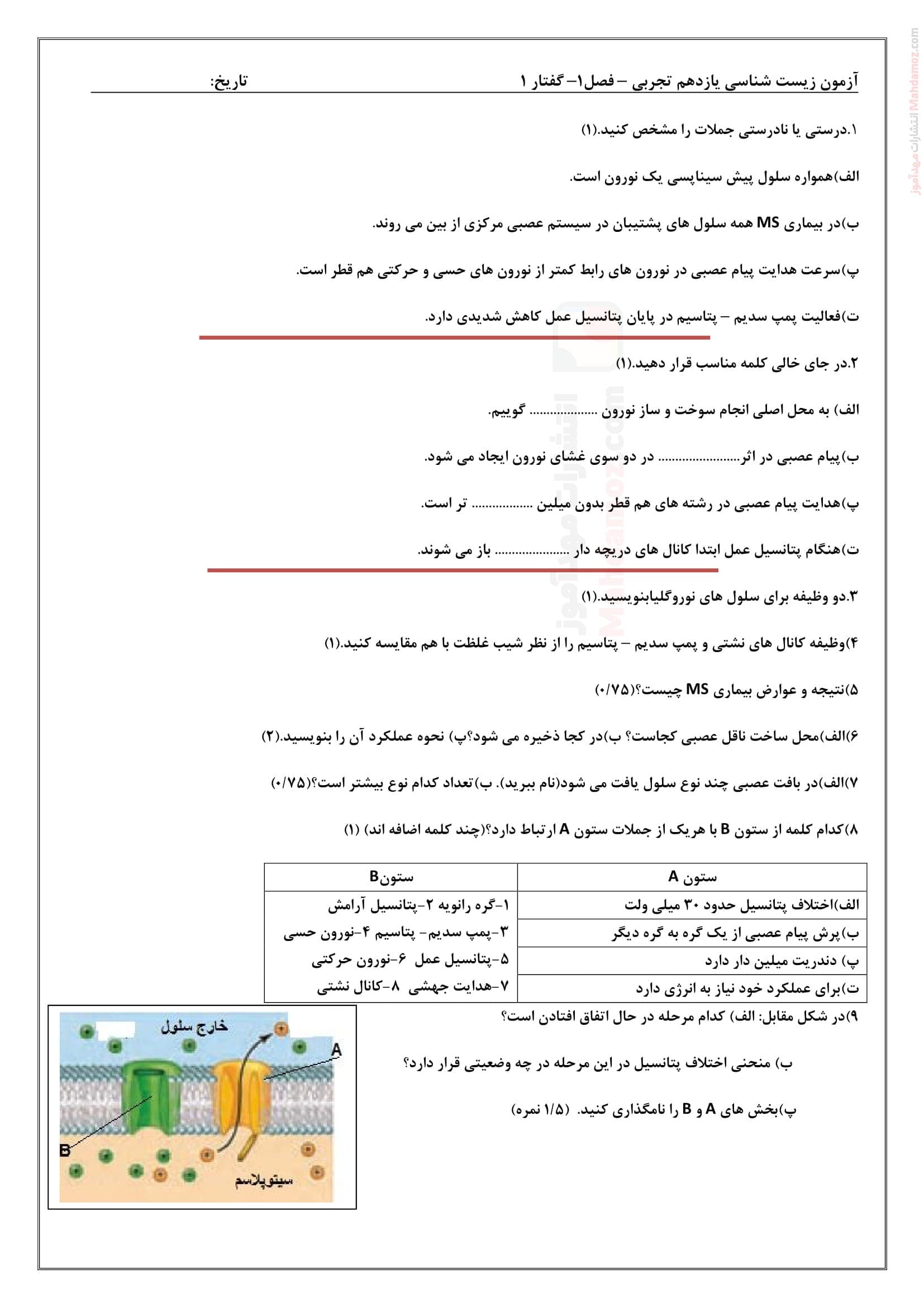 ارزیابی کلاسی فصل 1 گفتار اول یاخته های بافت عصبی زیست شناسی ویژه یازدهم | با جواب