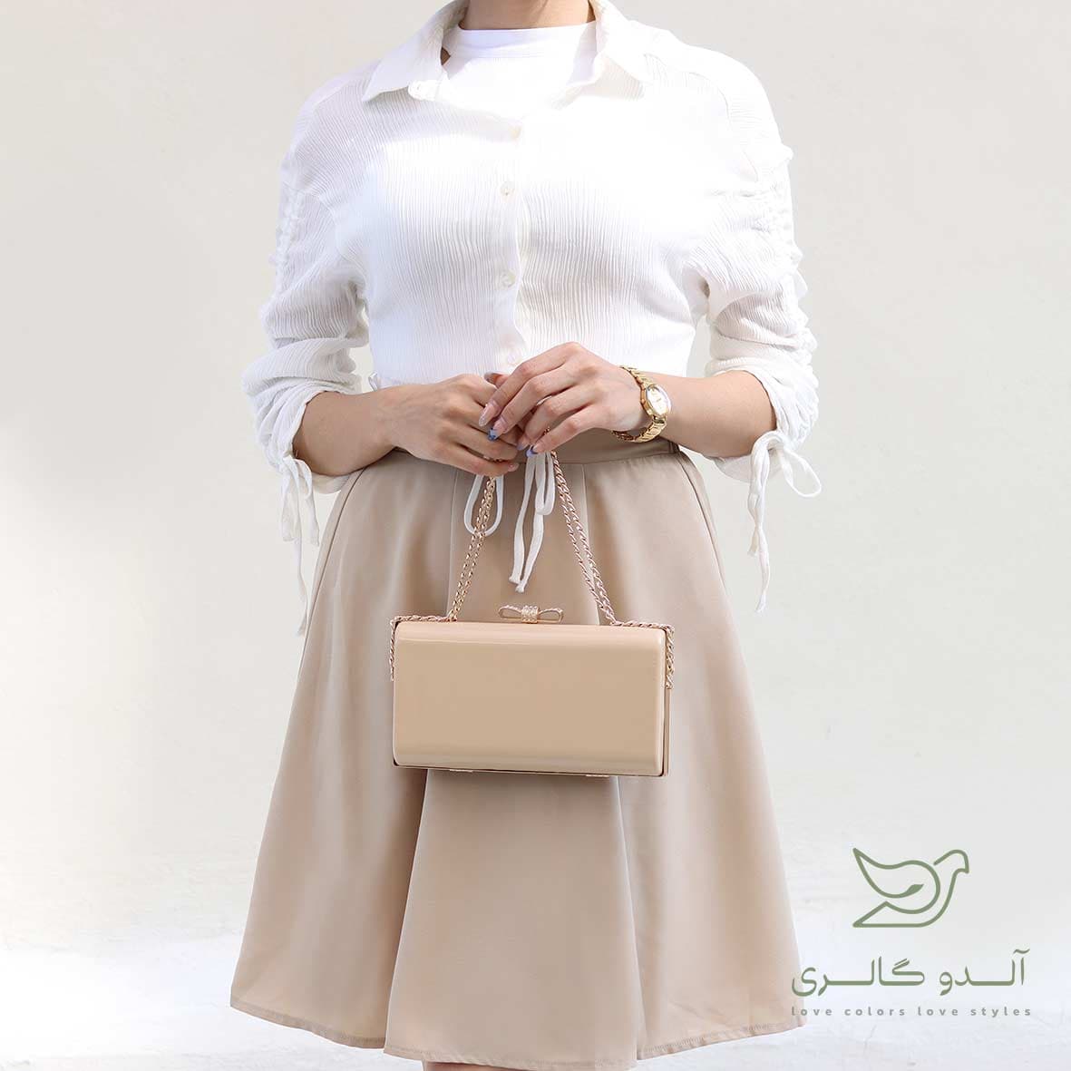 کیف مجلسی ویدان