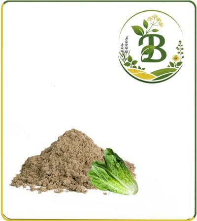 عصاره تخم کاهو خشک یا پودری