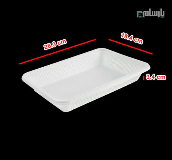 ظرف گیاهی یکبار مصرف بسته بندی کم عمق آملون — تصویر ۲