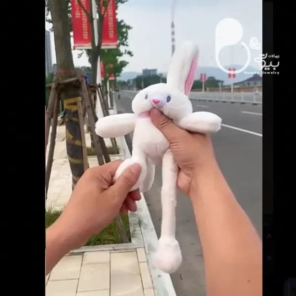 خرگوش بازی گوش — تصویر ۲