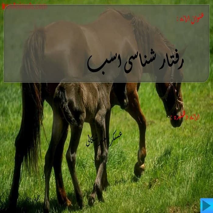 پاورپوینت رفتار شناسی اسب