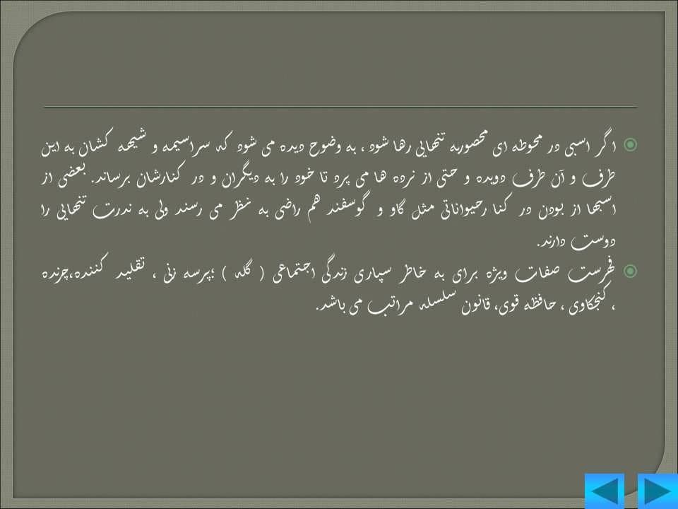 پاورپوینت رفتار شناسی اسب — تصویر ۲