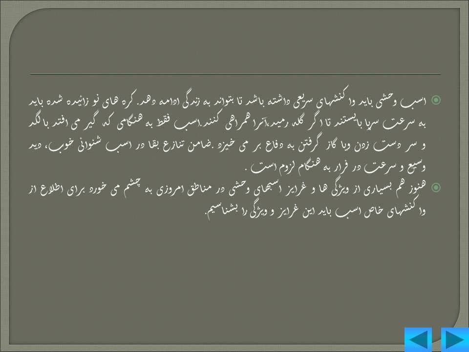 پاورپوینت رفتار شناسی اسب — تصویر ۴