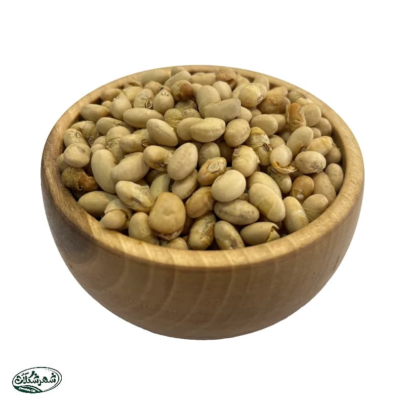 سویا اجیلی