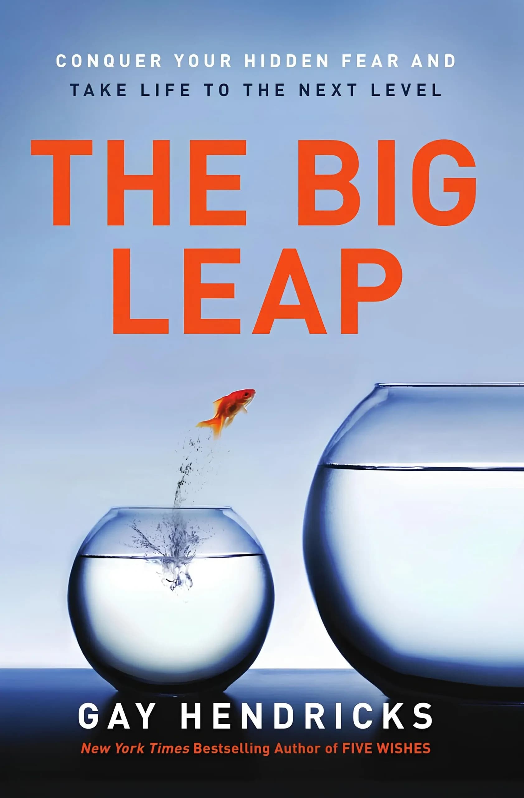 کتاب جهش بزرگ (The Big Leap) نسخه انگلیسی PDF