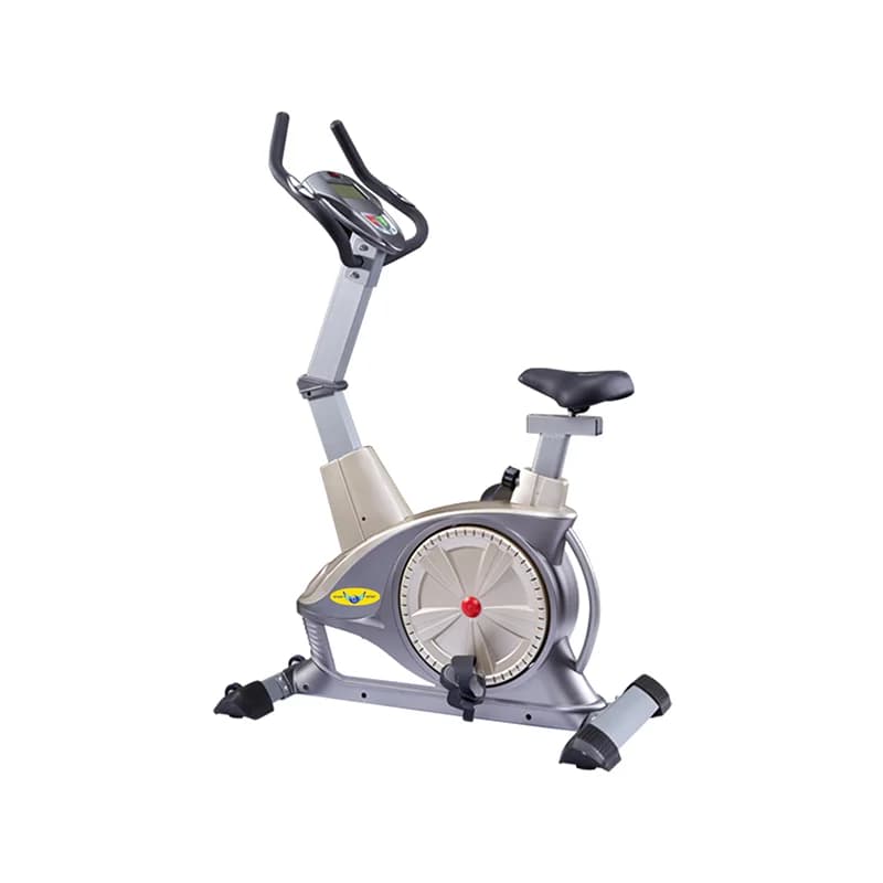 دوچرخه ثابت خانگی ایستاده WNQ مدل 7318LC