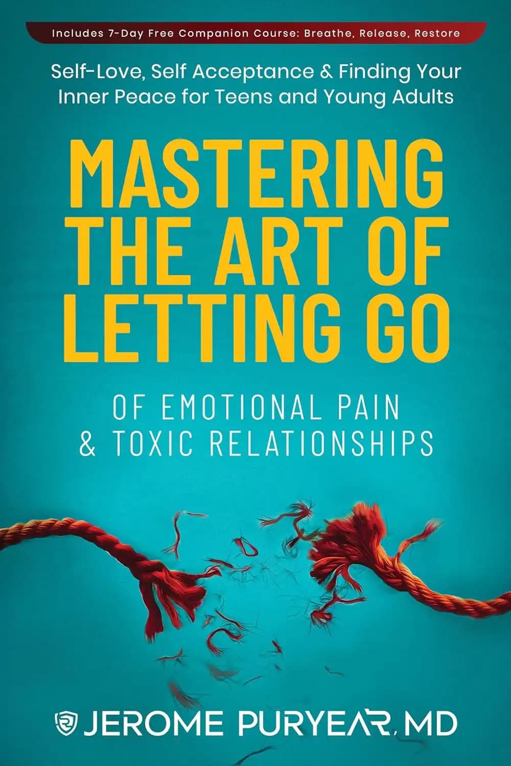 کتاب تسلط بر رهایی از دردهای عاطفی و روابط سمی (Mastering the Art of Letting Go of Emotional Pain and Toxic Relationships) نسخه انگلیسی PDF | جروم پیوریر