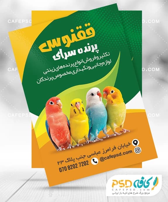 تراکت تبلیغاتی پرنده فروشی