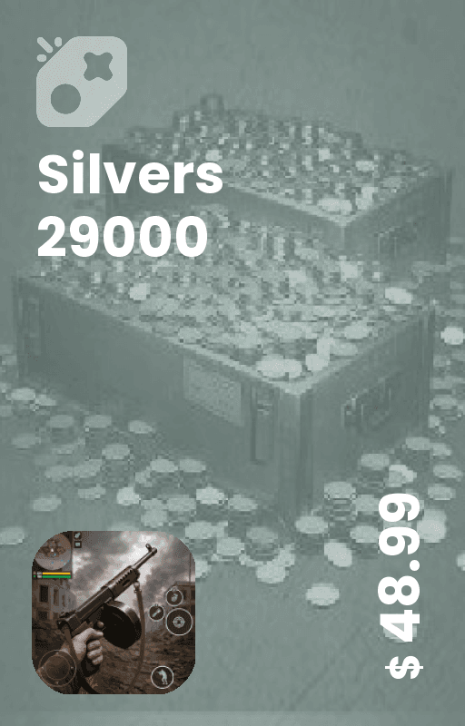 Silvers 29000