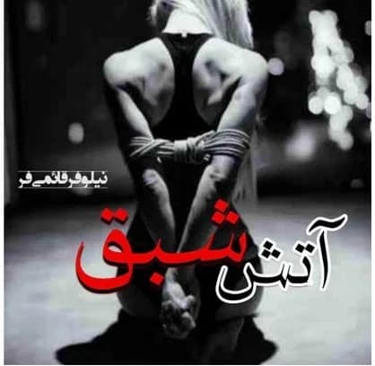 رمان آتش شبق اثر نیلوفر قائمی فر — تصویر ۲