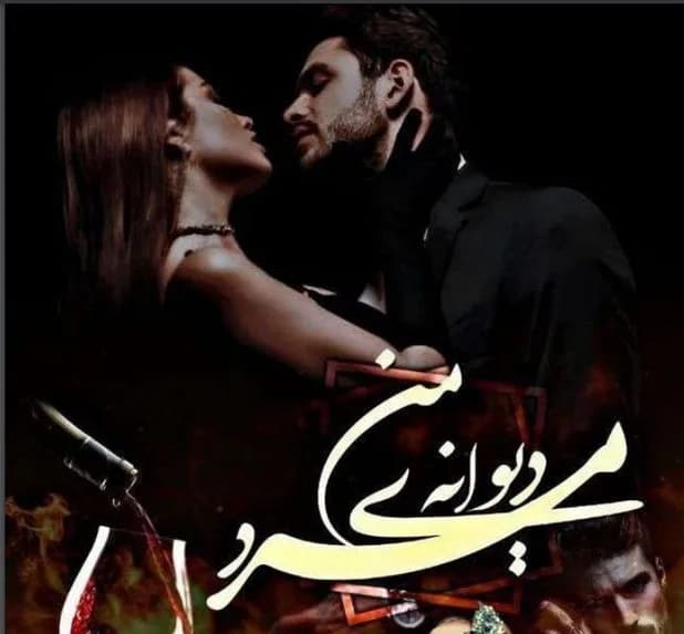دانلود رمان مرد دیوانه من اثر فرناز احمدلی — تصویر ۲