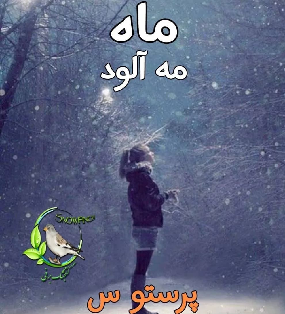 دانلود رمان ماه مه آلود سه جلد کامل اثر پرستو_س — تصویر ۲