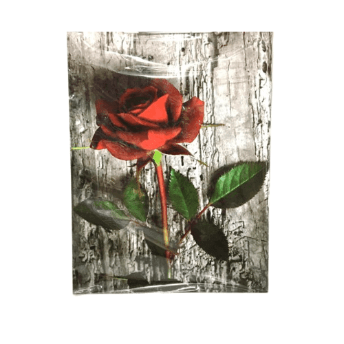 تخته شاسی A4 پاشا — تصویر ۳