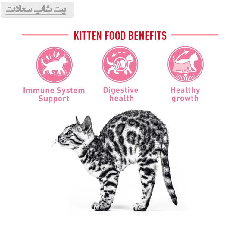 غذای خشک بچه گربه رویال کنین مدل Royal Canin Kitten وزن 2 کیلوگرم — تصویر ۱۲
