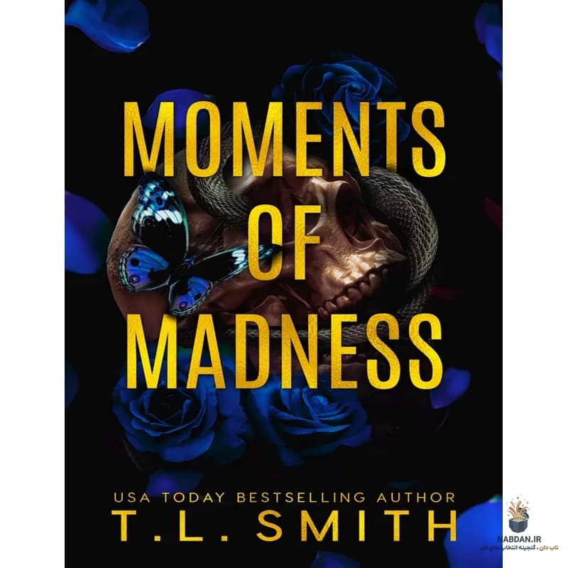 کتاب Moments of Madness (لحظات جنون) نسخه انگلیسی PDF | تی. ال. اسمیت