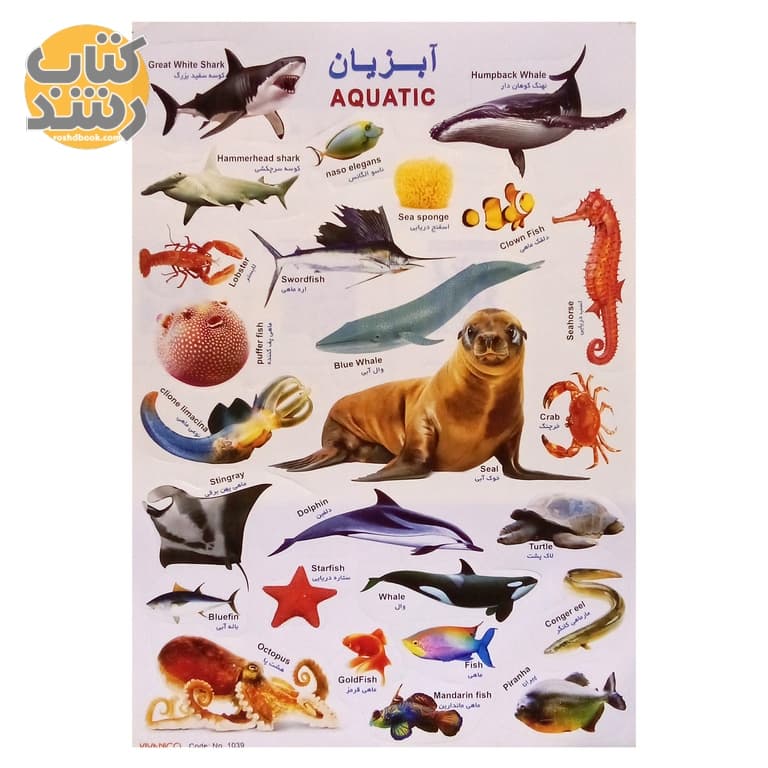 برچسب (استیکر) آموزشی طرح آبزیان سایز A4