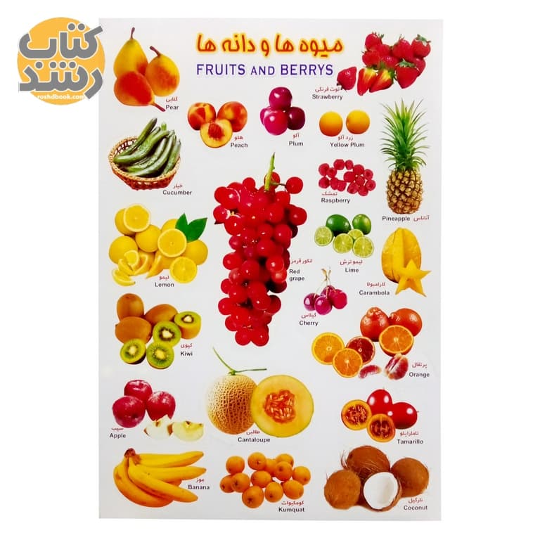 برچسب (استیکر) آموزشی طرح میوه و دانه ها سایز A4 — تصویر ۲