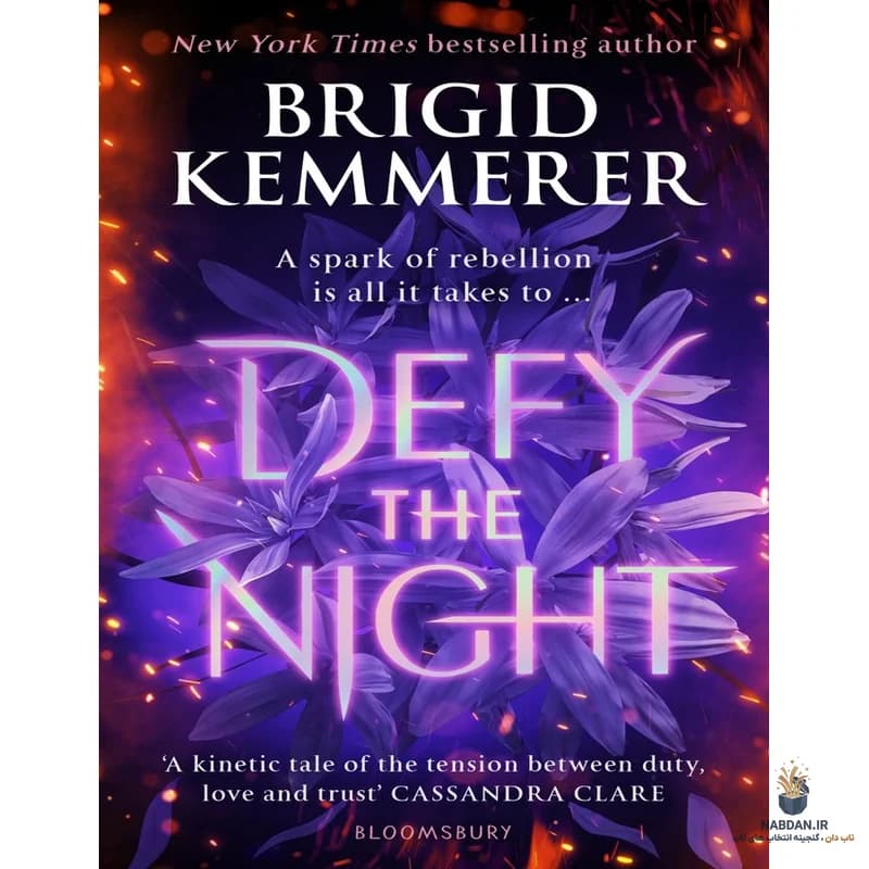 کتاب Defy the Night (به چالش کشیدن شب) نسخه انگلیسی PDF | بریگید کمرر