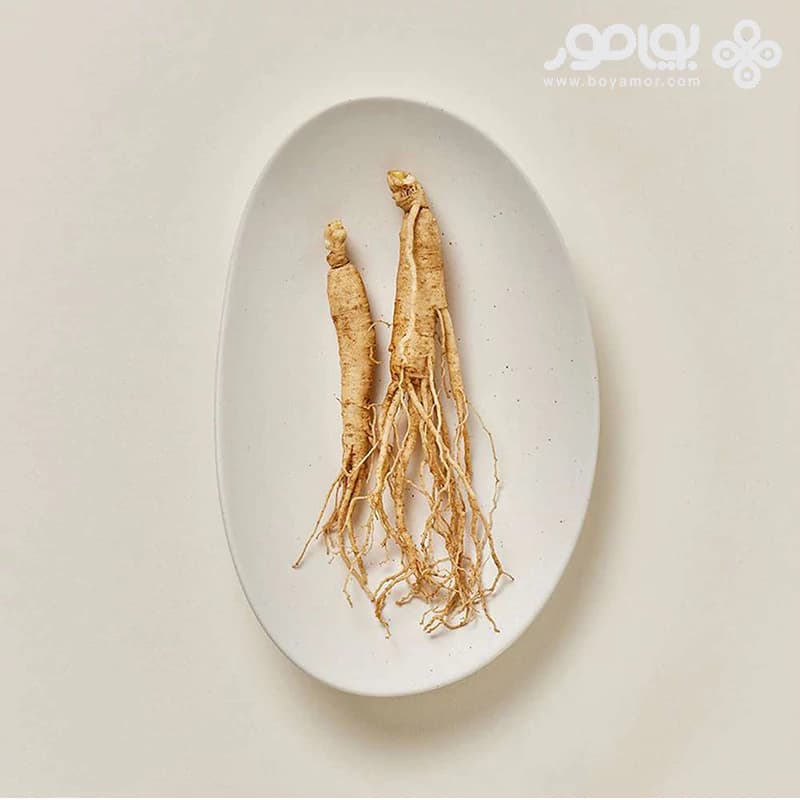 سرم ضد آفتاب بیوتی آو جوسان مدل GINSENG MOIST حجم 50 میل — تصویر ۳