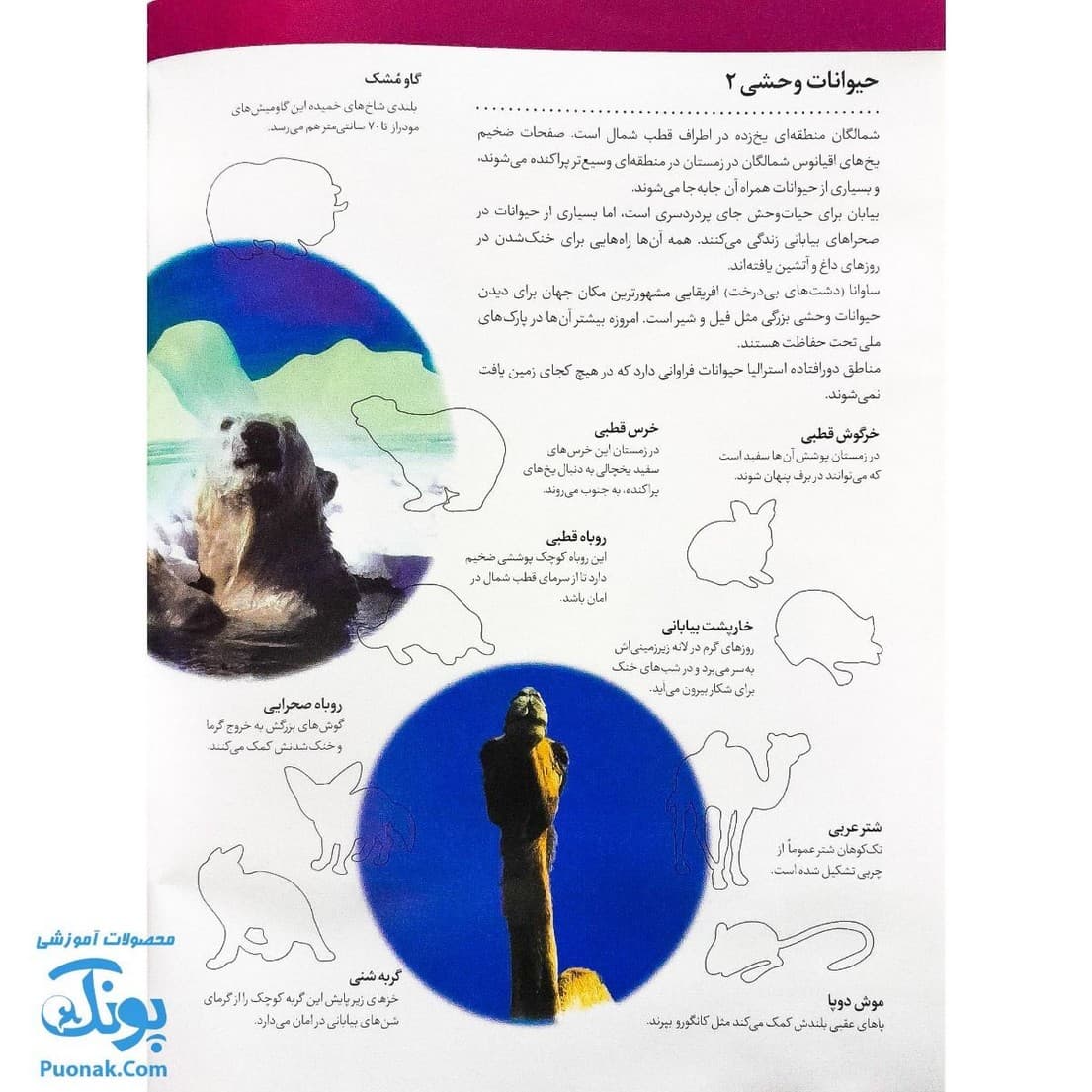 کتاب حیوانات وحشی بچسبان و بیاموز ۱۷ به همراه ۶۰ برچسب — تصویر ۸