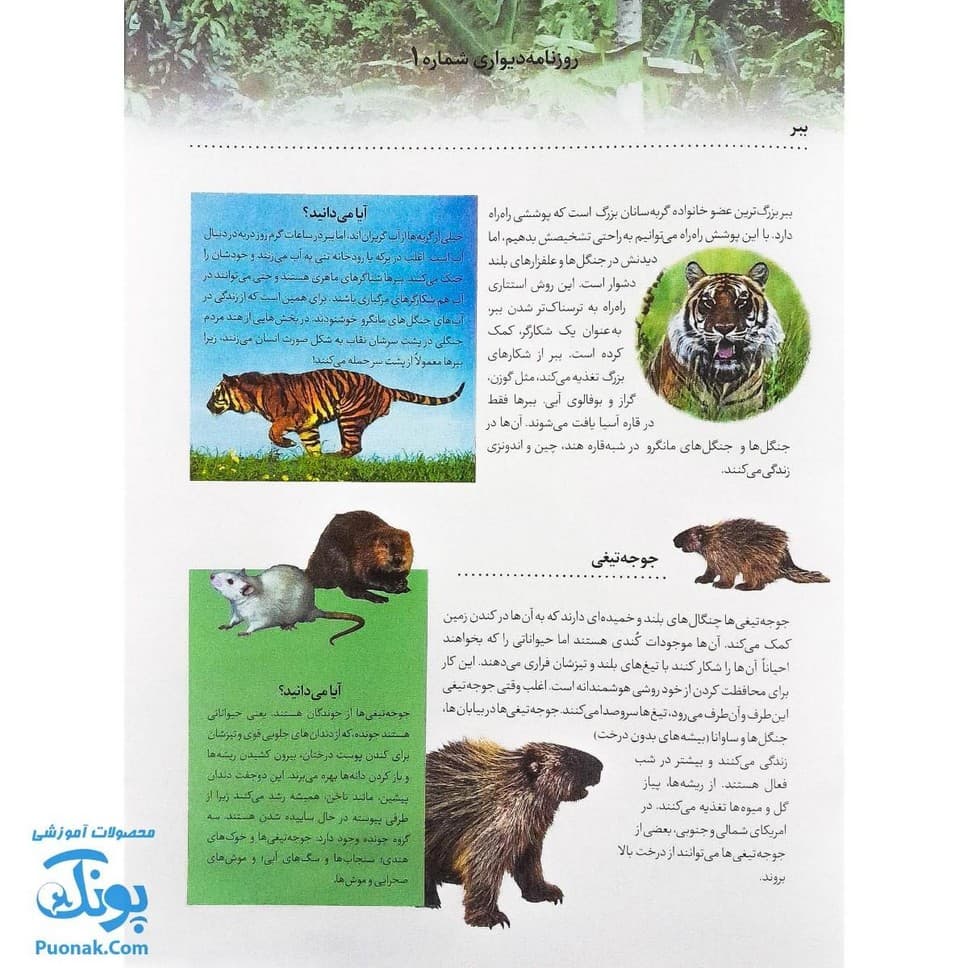 کتاب حیوانات وحشی بچسبان و بیاموز ۱۷ به همراه ۶۰ برچسب — تصویر ۲
