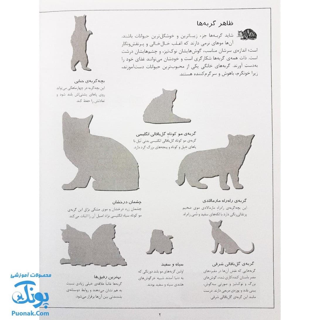 کتاب گربه ها بچسبان و بیاموز ۱۶ به همراه ۶۰ برچسب — تصویر ۲