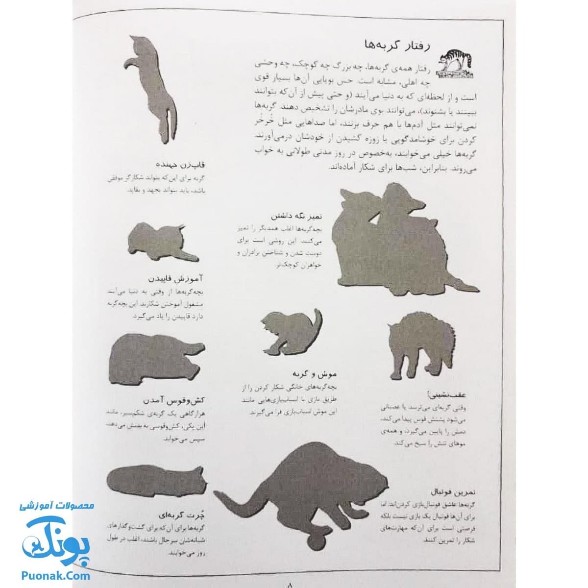 کتاب گربه ها بچسبان و بیاموز ۱۶ به همراه ۶۰ برچسب — تصویر ۸