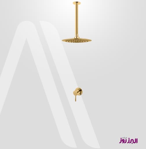 شیر حمام توکار رومانیا تیپ1 طلابراق البرز روز (ALBORZROOZ)