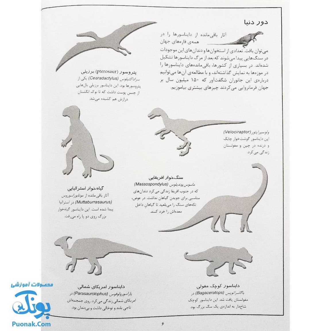 کتاب دایناسورها بچسبان و بیاموز ۴ به همراه ۶۰ برچسب — تصویر ۷