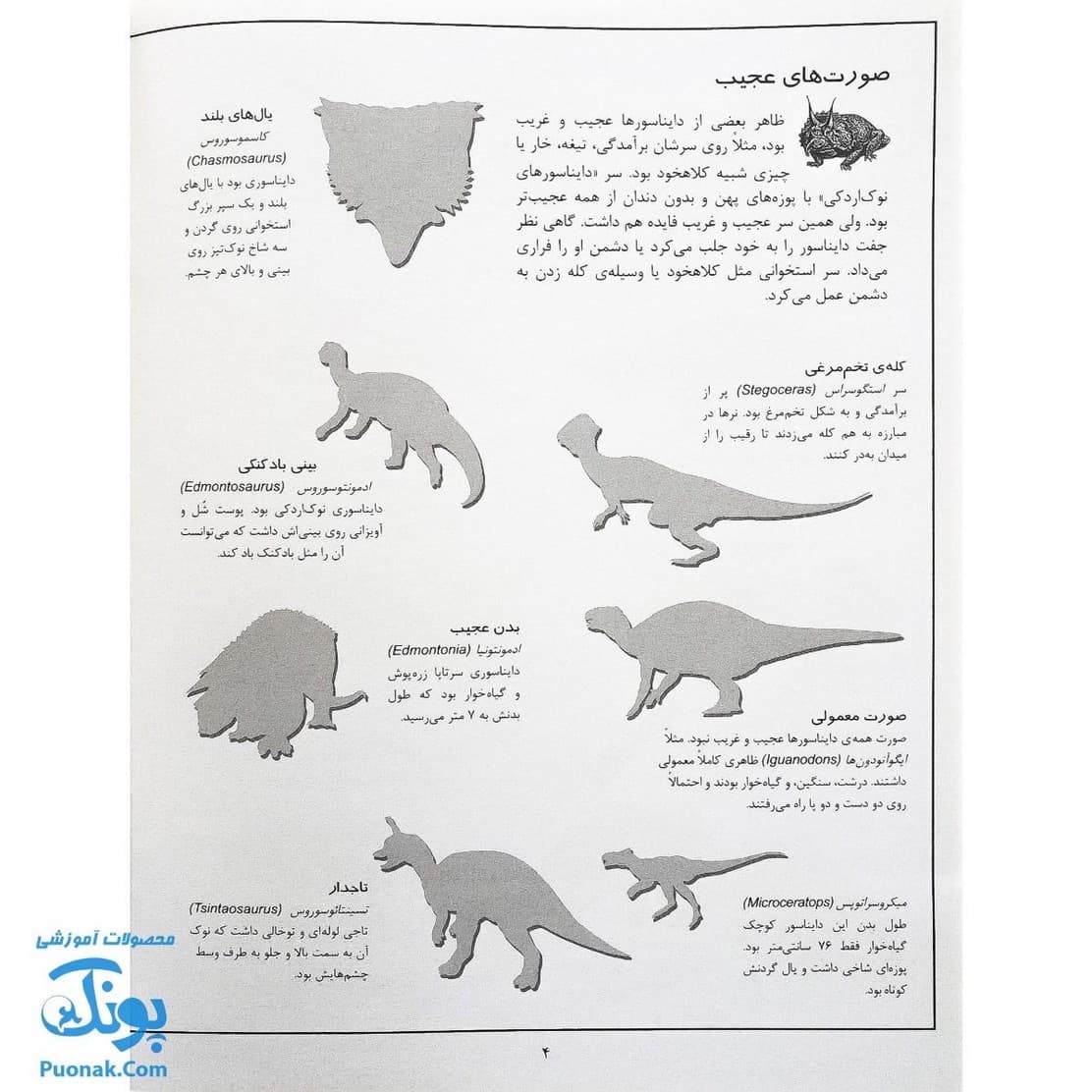 کتاب دایناسورها بچسبان و بیاموز ۴ به همراه ۶۰ برچسب — تصویر ۳