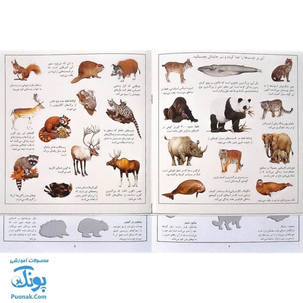 کتاب جانوران بچسبان و بیاموز ۱ به همراه ۶۰ برچسب — تصویر ۲