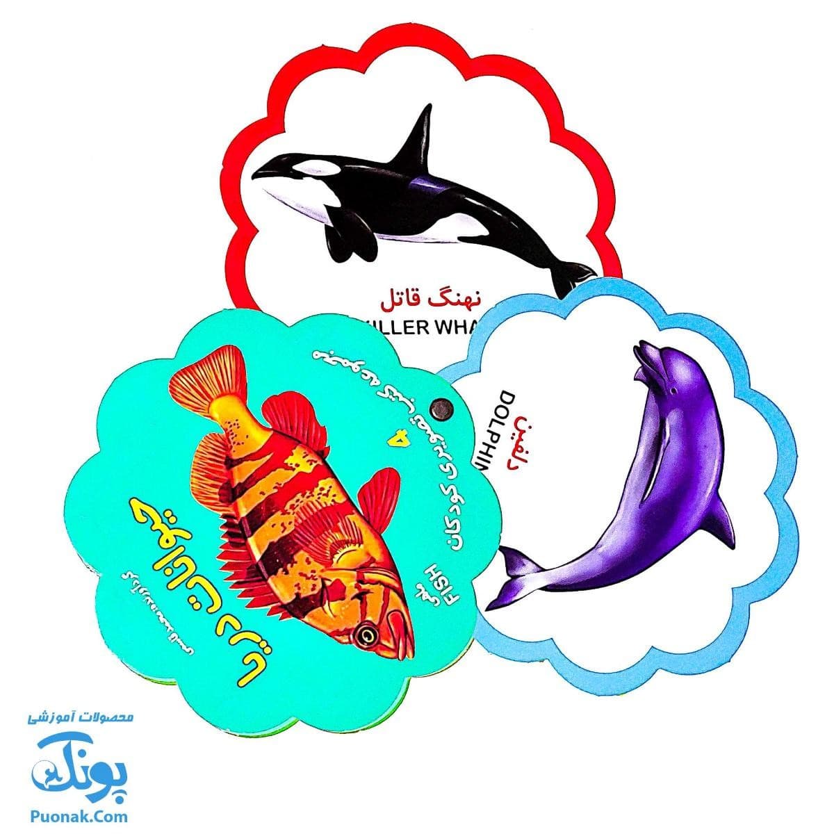 کتاب مصور حیوانات دریا دو زبانه (مجموعه کتب تصویری کودکان جلد چهارم – دکمه ای) — تصویر ۵