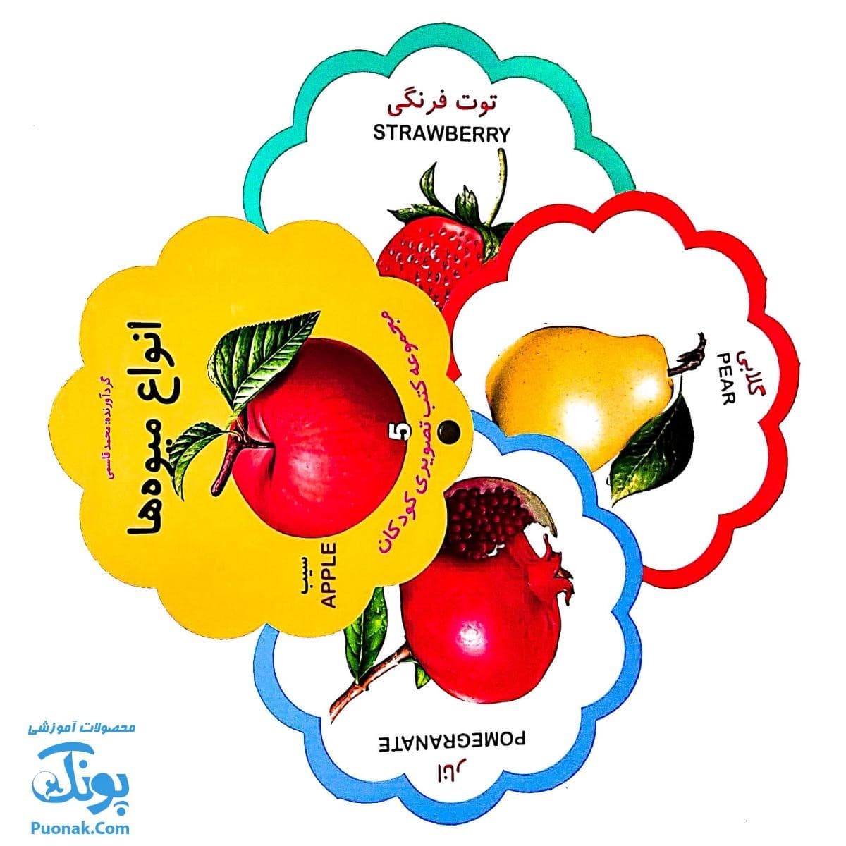 کتاب مصور انواع میوه ها دو زبانه (مجموعه کتب تصویری کودکان جلد پنجم – دکمه ای) — تصویر ۵