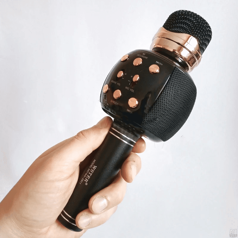 اسپیکر میکروفون WSTER – WS2911