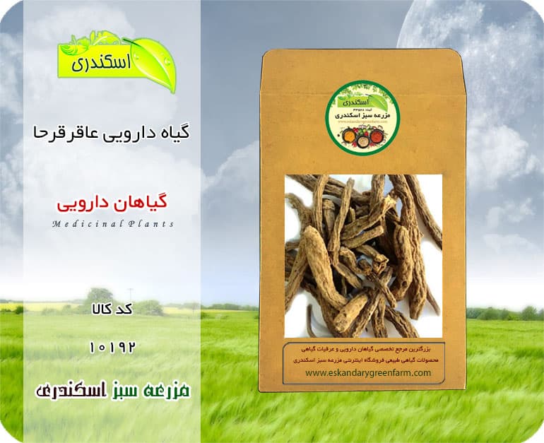 گیاه عاقرقرحا