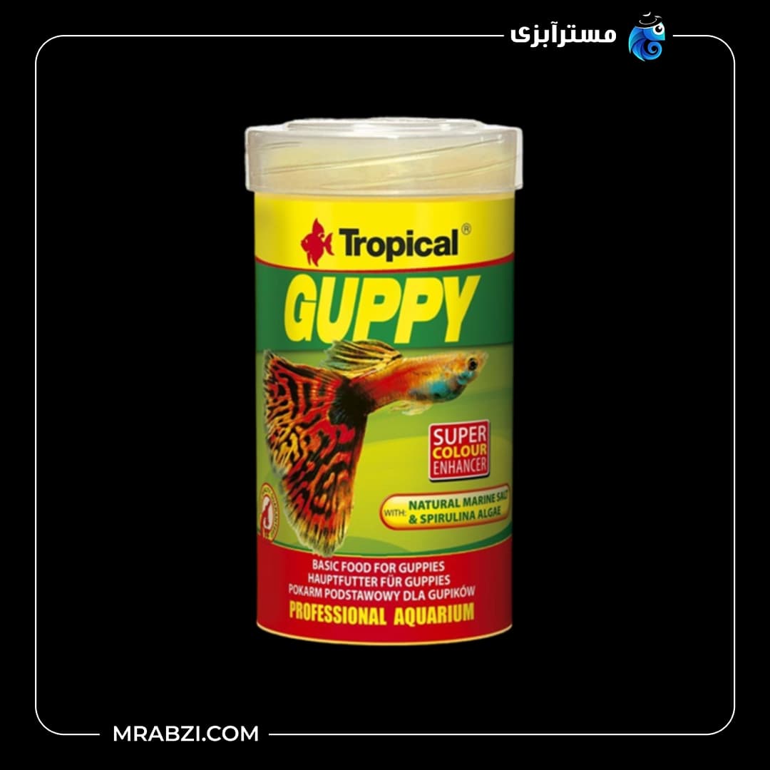 غذای ماهی گوپی تروپیکال مدل GUPPY وزن 20 گرم