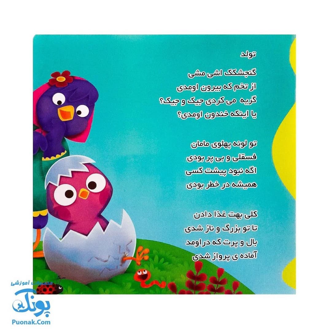 کتاب گنجشکک اشی مشی از مجموعه کتابهای یادگاری ۸ — تصویر ۲
