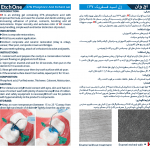 ژل اسید اچ 3 سرنگ نیک درمان Etch One Eco — تصویر ۲
