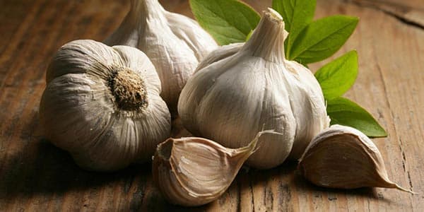 سرشیشه دهانه استاندارد 0-6 ماهگی وی کر