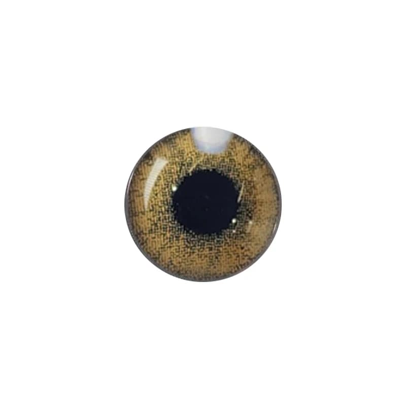 لنز چشم رنگی آی ریو Eyereve شماره 16 مدل Cappuccino