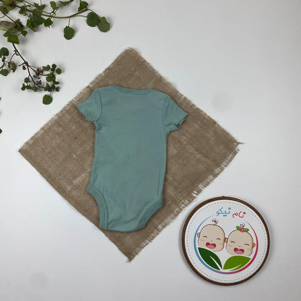 بادی نوزادی آستین کوتاه طرح ساده یقه گرد سبز سدری رنگ – 2 تا 6 ماه — تصویر ۶